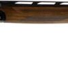CZ All American Over/Under Shotgun 06585, 12 Gauge, 30″, 3″ Chmbr, Turkish Walnut Stock, Blued Finish